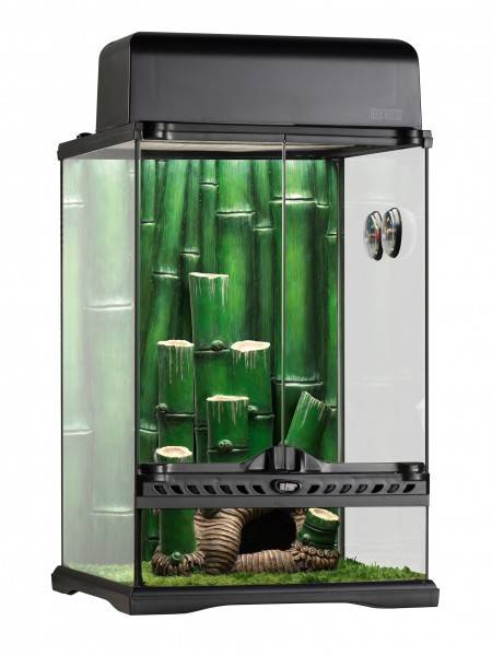 Exo Terra Bamboo Forest Kit